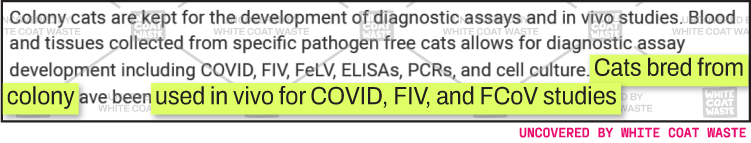 Document snippet uncovered by White Coat Waste highlighting that cats bred in research colonies are used in live-animal (in vivo) experiments for COVID, FIV, and FCoV studies.