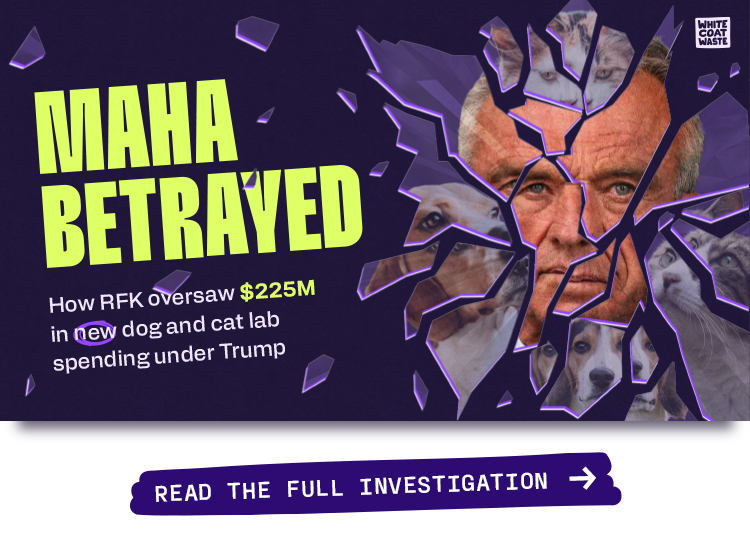 Read the full MAHA Betrayed report here
