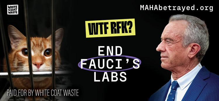 White Coat Waste campaign billboard titled "WTF RFK? END FAUCI'S LABS" featuring a photo of a caged orange cat, a portrait of HHS Secretary Robert F. Kennedy Jr., and the URL MAHABetrayed.org.