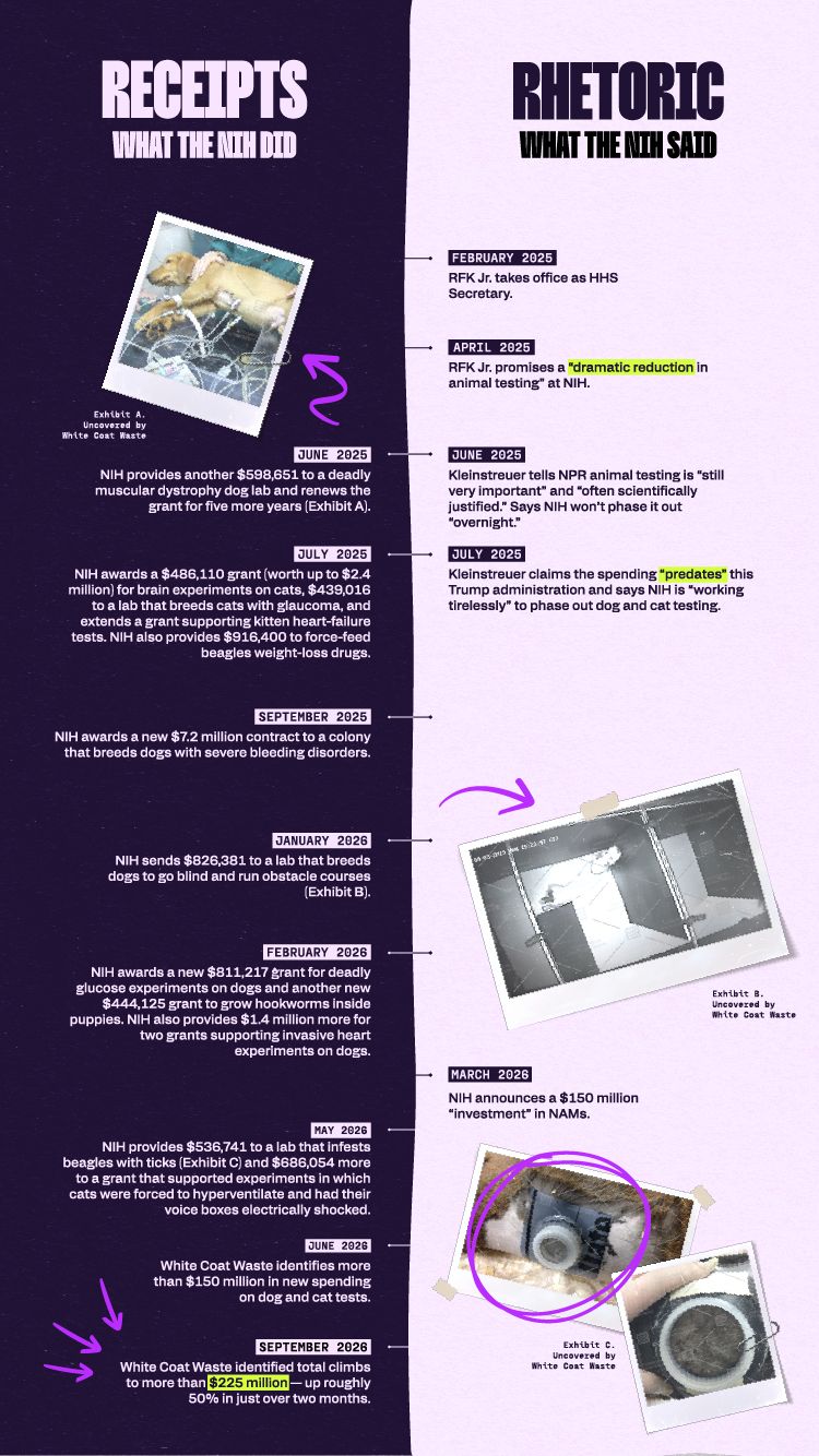 Infographic titled "Receipts vs Rhetoric" comparing NIH statements about reducing animal testing with a timeline of $225 million in funded dog and cat experiments.